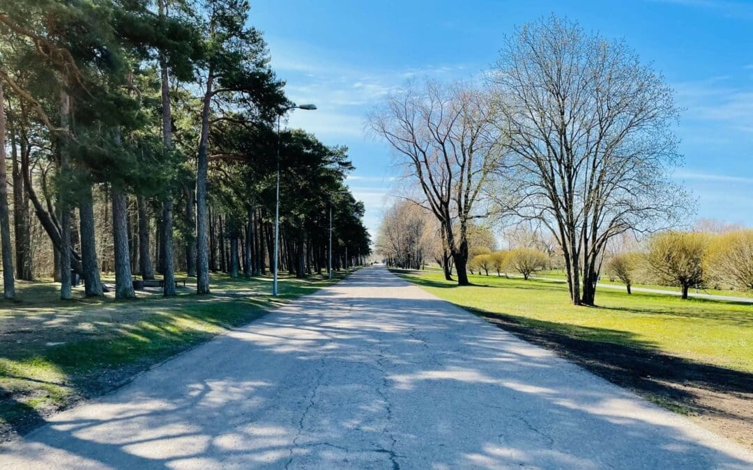 pavement route