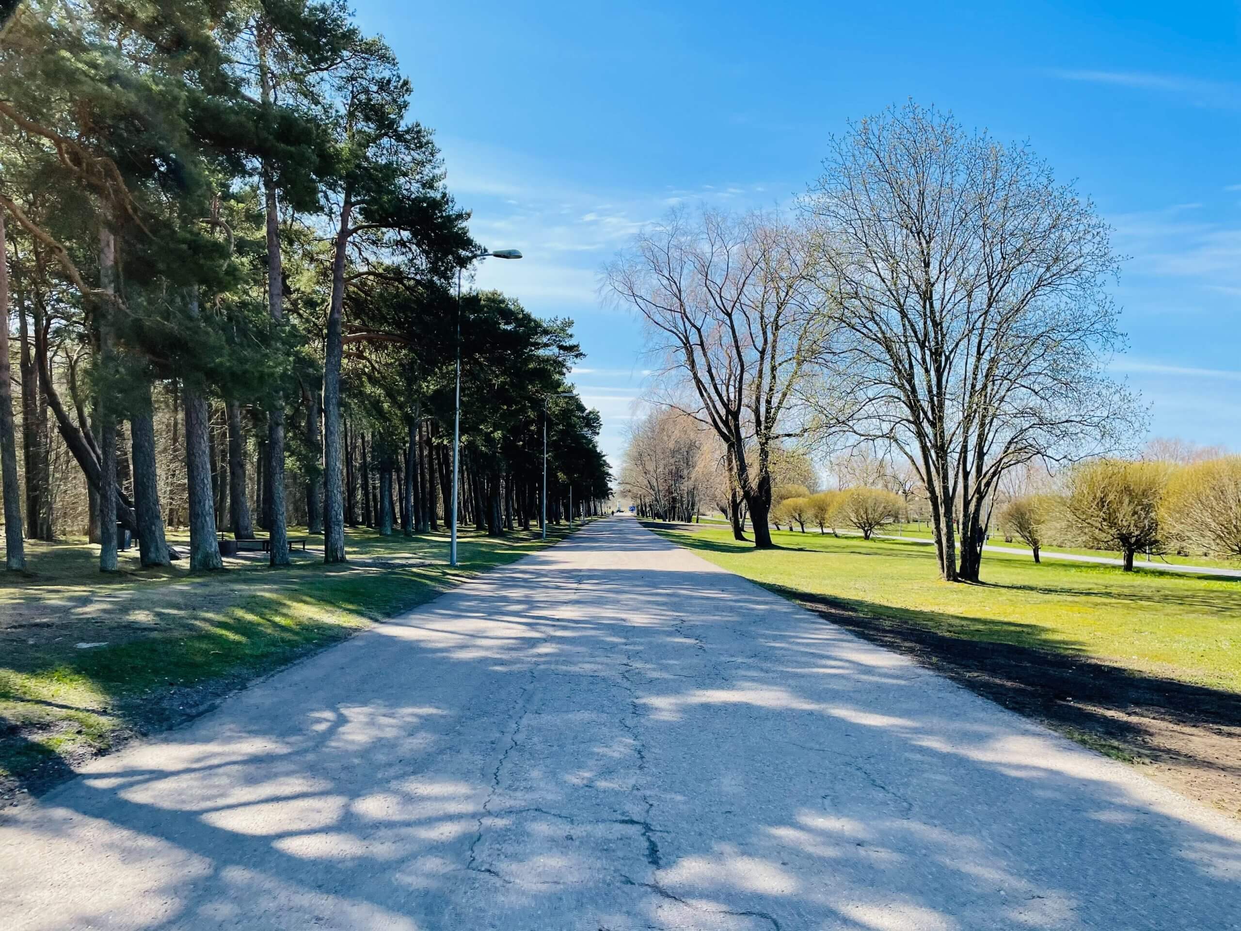 Are You a Follower or a Leader? - How to Lead Business Growth