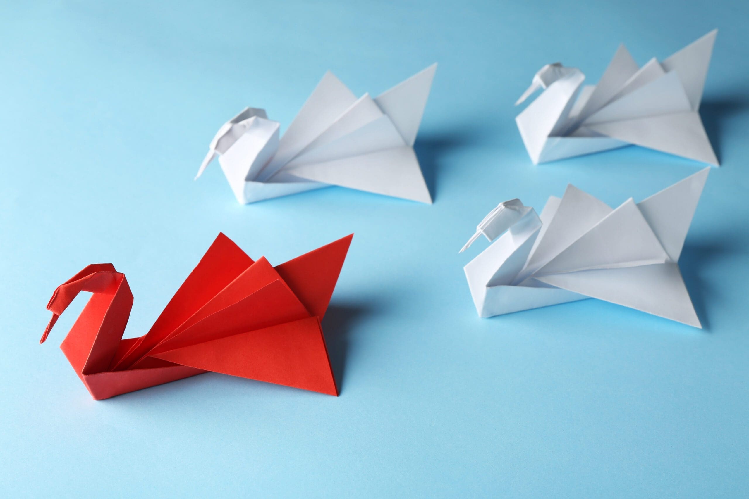 Leadership & Management Questions